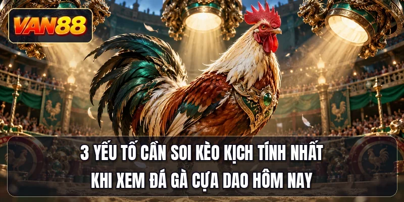 3 yếu tố cần soi kèo kịch tính nhất khi xem đá gà cựa dao hôm nay