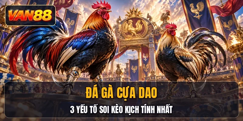 Đá Gà Cựa Dao - 3 Yếu Tố Soi Kèo Kịch Tính Nhất