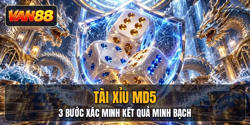 Tài Xỉu MD5 - 3 Bước Xác Minh Kết Quả Minh Bạch